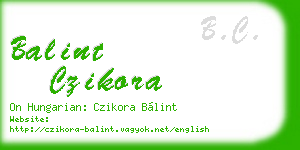 balint czikora business card